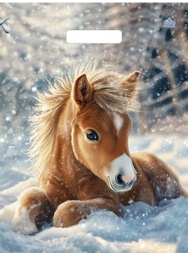 НГ Пакет с вырубной ручкой (31х40)-60 Ветерок ламин ТИКО 50/500