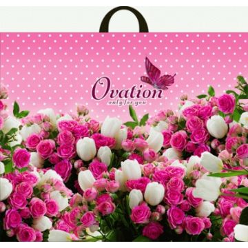 Пакет с петлевой ручкой (50х60)-70 Овация 25/250 