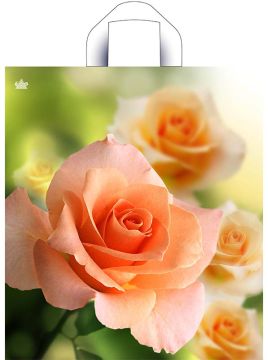 Пакет с петлевой ручкой (38х42)-37 Утренняя роза ПНД Тико 50/300 