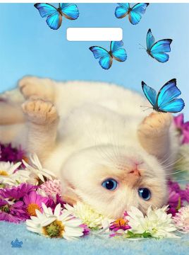 Пакет с вырубной ручкой (31х40)-60 Сливочный кот Тико 50/500 