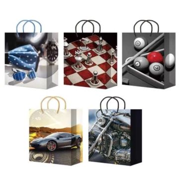 Пакет подарочный бумажный (22х31х10) ламинир Микс 1/10/200