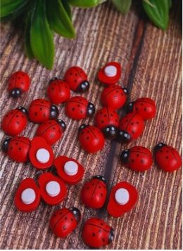 Липучки для цветов Божья коровка 24шт Biedronka 1/100