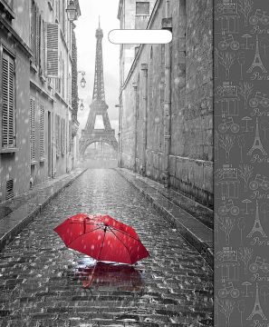 Пакет с вырубной ручкой (38х45)-60 Мой Париж ламинат Тико 50/500