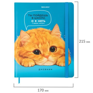 Дневник 1-11кл 40л (твердый) матовая ламинация Котик 1/36 (Клиент)