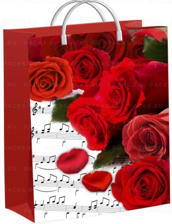 Пакет пластиковый (30х40+10)-140 Пиано Тико 1/40 