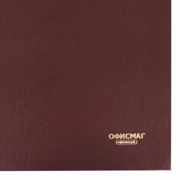 Книга учета 96л А4 200х290мм линия бумвинил блок офсет ОФИСМАГ 1/10 (Клиент)