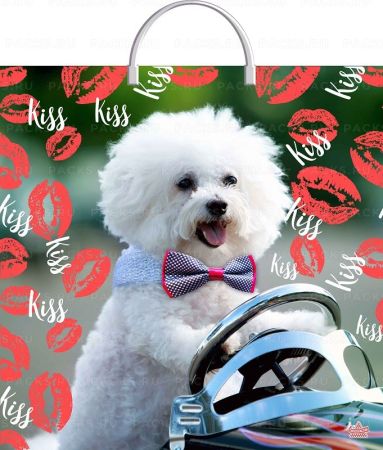 Пакет с пластмассовыми ручками (36х37)-100 Пушистый Пьер Тико 10/100