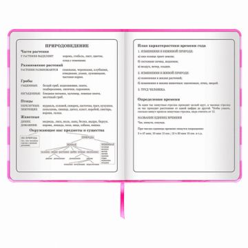 Дневник 1-4 класс 48л, кожзам (твердая с поролоном), печать, аппликация, ЮНЛАНДИЯ, АВАКОТ, 105938