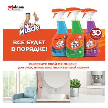 Средство для мытья стекол и зеркал 530мл триггер Утренняя Роса Мистер Мускул 1/12  (Клиент)