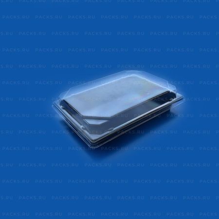 Контейнер (240х168х12) КС-25 крышка для сушиТДУ 250/250