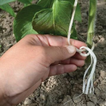 Шпагат РР 0,5кг №1000 d-1,6мм (500м) BRAUBERG 1/22 (Клиент)