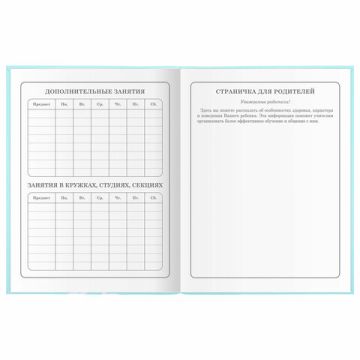 Дневник 1-4 класс 48л, гибкая обложка, ЮНЛАНДИЯ, выборочный лак, с подсказом, Little Princess,106344