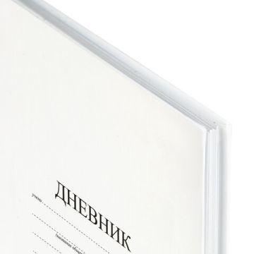 Дневник 1-11кл 40л (твердый) матовая ламинация Белый 1/28